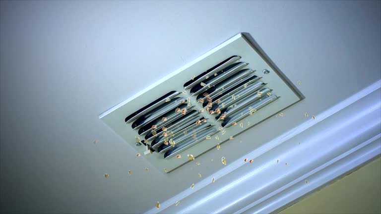 Best Affordable Duct Cleaning Services  in Baldn, WI